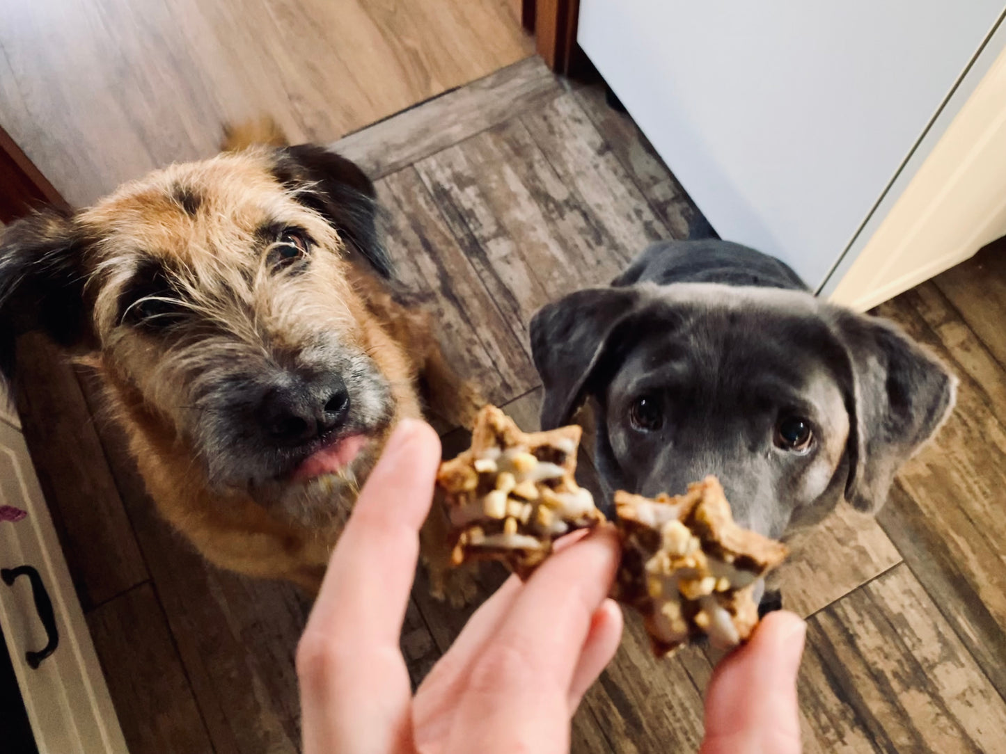 Adventssternchen