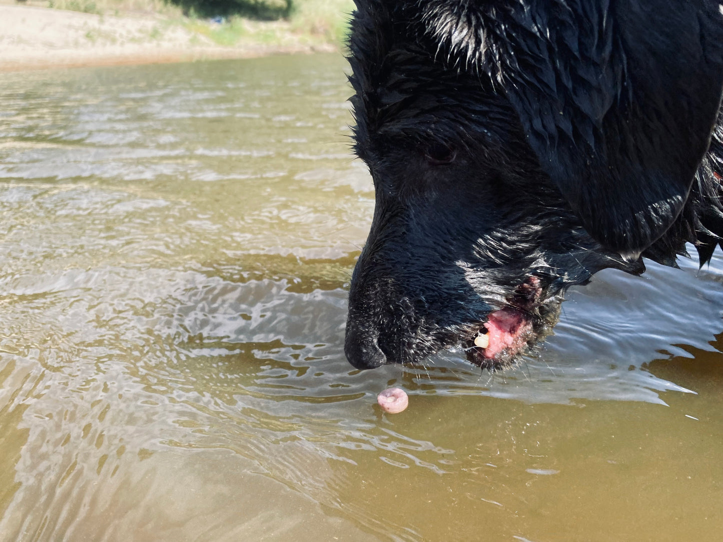Marla‘s bunte Schwimmringe