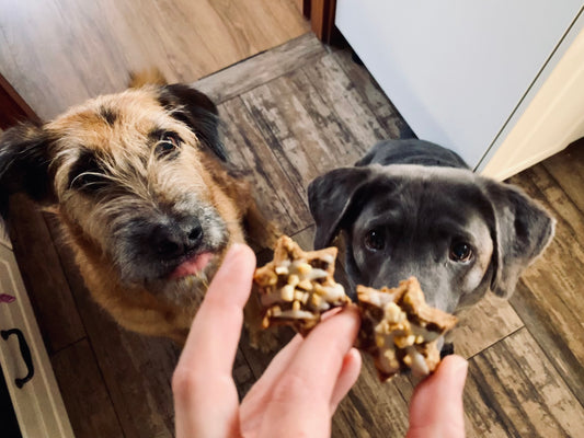 Adventssternchen