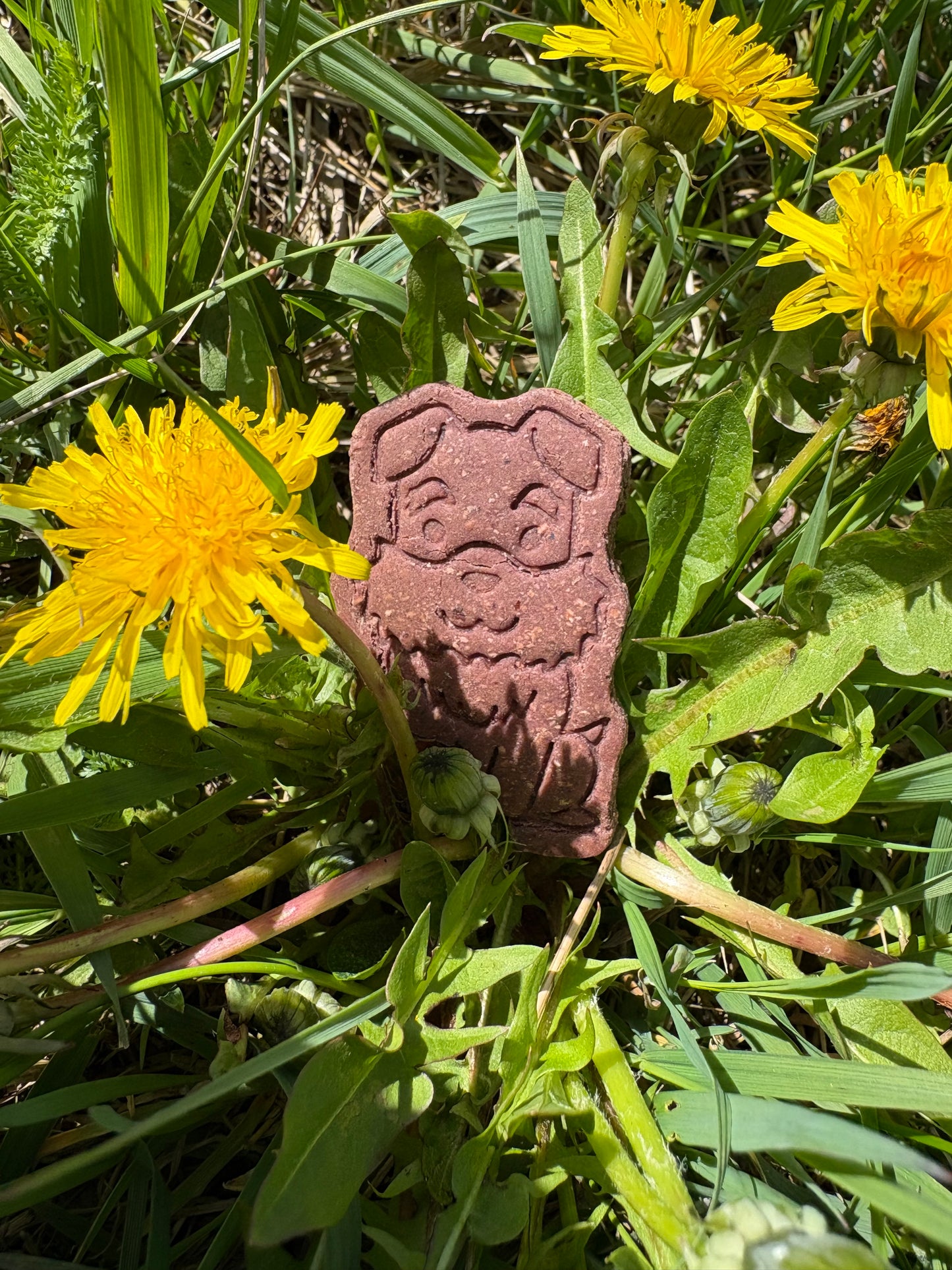 Freed's Körbchenhupferl