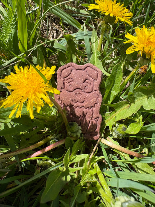 Freed's Körbchenhupferl